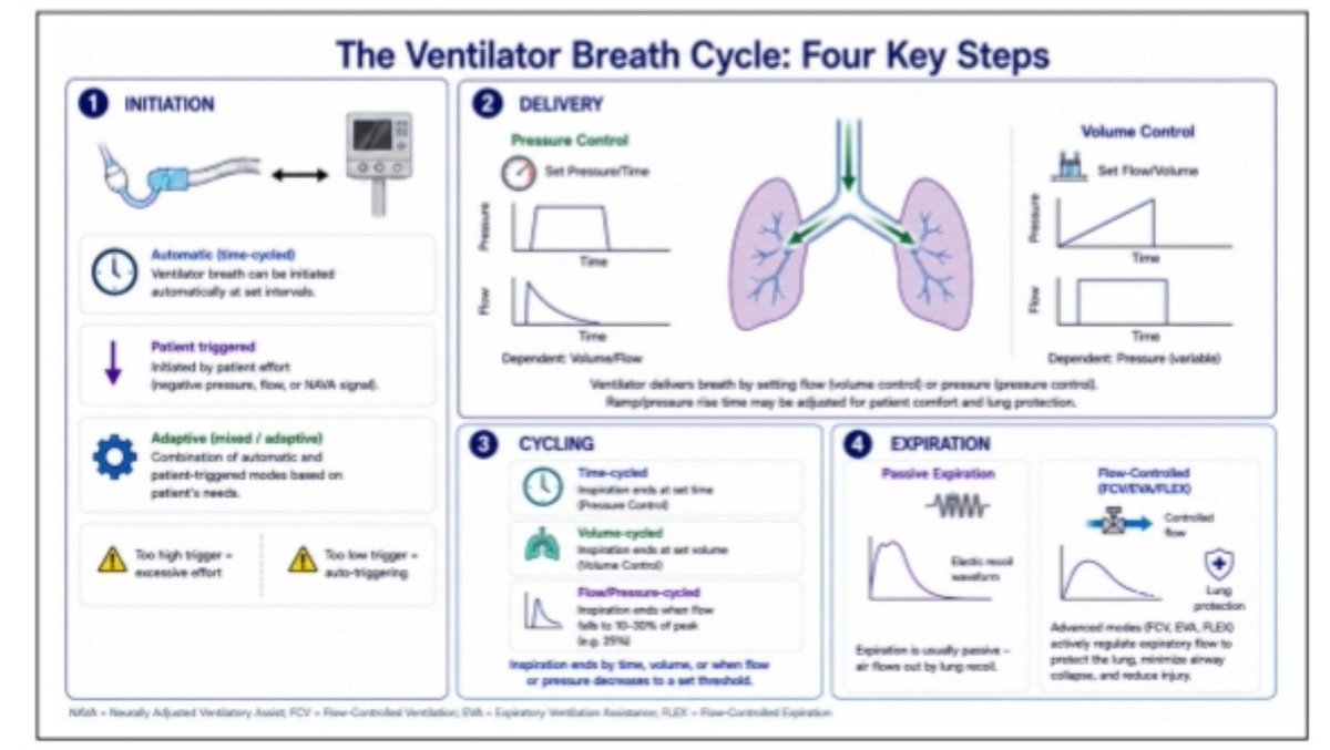 Leo_Santo5's tweet photo. 🫁 ¿Realmente Entendemos Cómo Funciona el Ventilador... O Solo Movemos los Botones?

🧬Fisiología
🤔Mecánica
🆚Modos de ventilación
📈Monitorización

🔰📚Journal of the Intensive Care Society

Enlace a Artículo Completo👇🏻🆓✅
https://t.co/xumUMHaxVK https://t.co/gOBJCLpe1J