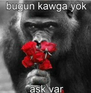 VBKAI_'s tweet photo. @ormundhgtwife Helenayı görünce bizim mood https://t.co/Sf67CsY4D9