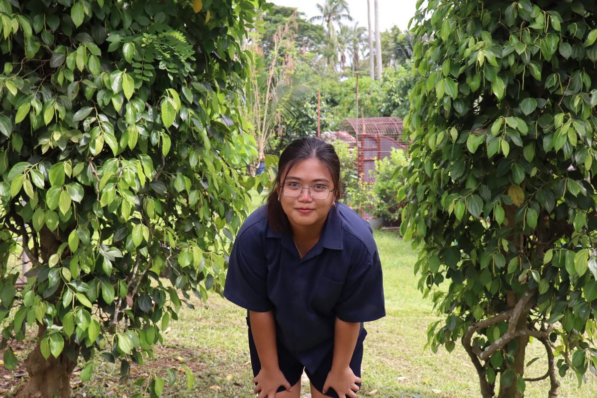luckelle_'s tweet photo. emerita's farm d2 https://t.co/FjMjXinVyA