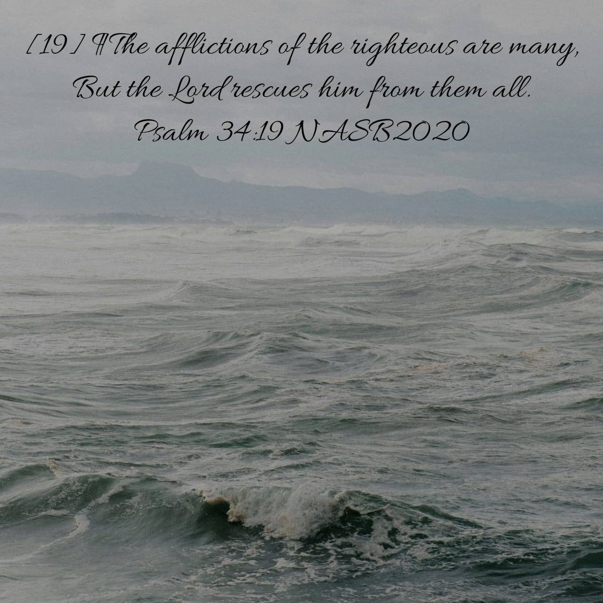ElonX88gs's tweet photo. Psalm 34:19 NASB2020
[19] ¶The afflictions of the righteous are many, But the Lord rescues him from them all.

https://t.co/CK8dCZbNZB https://t.co/JDsJUBImJe