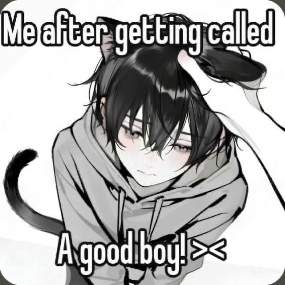 squishmypaws's tweet photo. real :3 https://t.co/3dX6LaTDUT