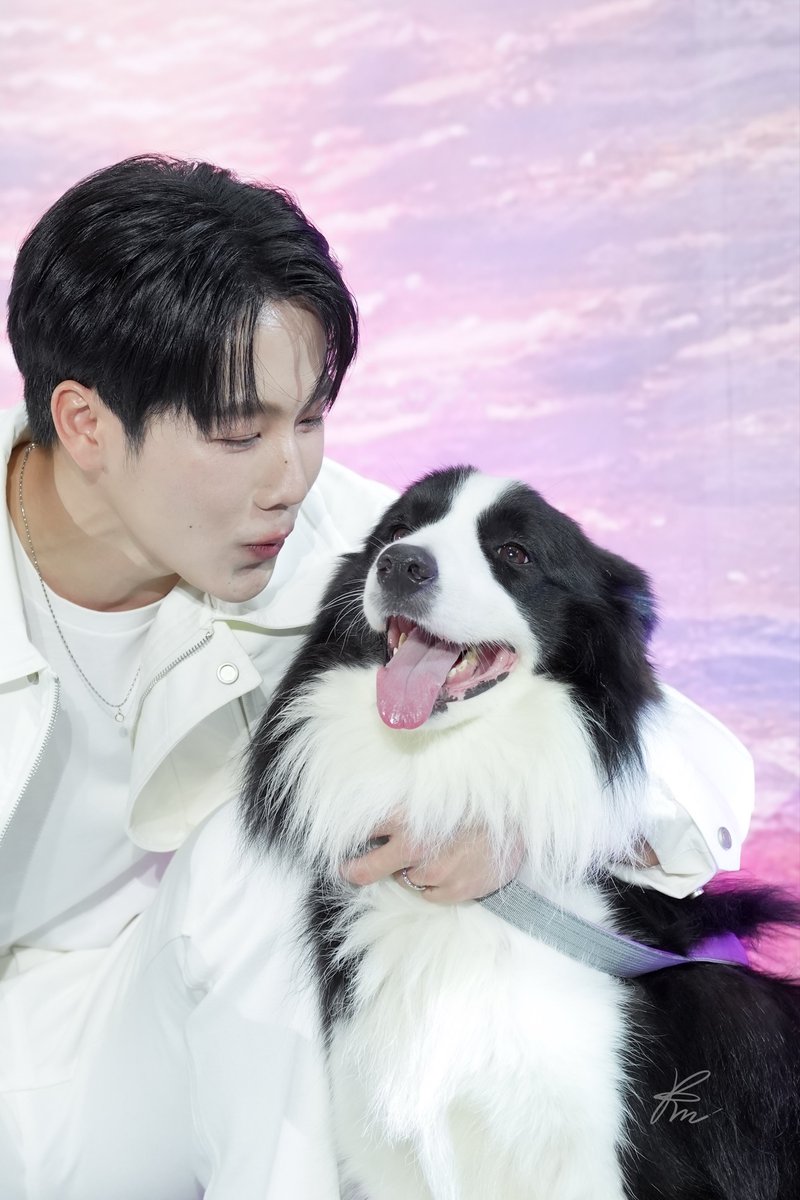 prchypp's tweet photo. พิเม่อตุวจิงหูต้องบิน มันเปนซิกเนเจ้ออออ 🐶💫

#VIFxYWZSPetexpo 
#warwanarat @warwanarat 
#sammerbcollie https://t.co/pfb90avyRh