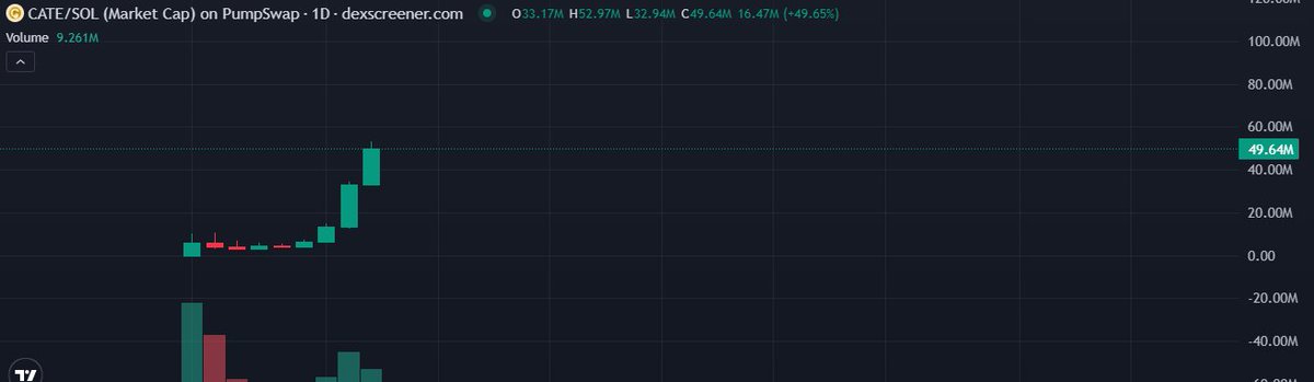 Thorr_x's tweet photo. @Borg_Cryptos for most of us is bull market https://t.co/mdu5YOinDr