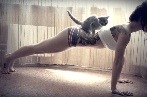 s1nservici0's tweet photo. let pinterest ruin your life! ED edition 

★ themed diet
★ low calorie snack
★ zero sugar drink
★my sport https://t.co/L93Rgc6R4a
