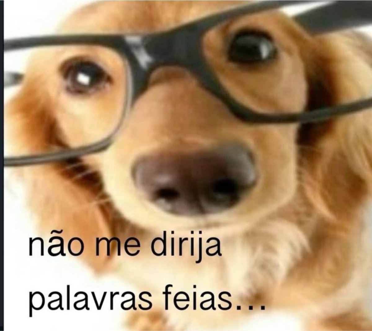 shitpostverdade's tweet photo. https://t.co/ZmBSZgWm8E