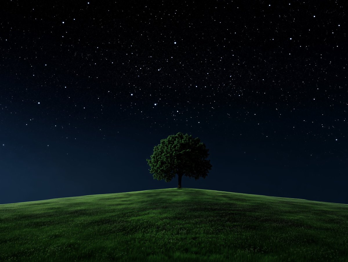Eryth_Studio's tweet photo. The Starry Horizon ✨ https://t.co/55eSSfao08