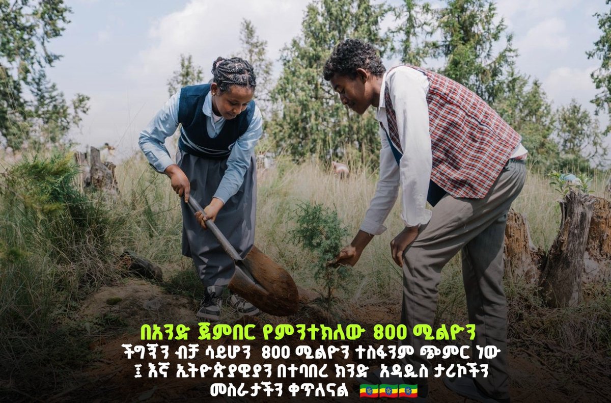 lulakebede's tweet photo. በአንድ ጀምበር የምንተክለው 800 ሚልዮን  ችግኝን ብቻ ሳይሆን    800 ሚልዮን ተስፋንም ጭምር ነው  ፤ እኛ ኢትዮጵያዊያን በተባበረ ክንድ   አዳዲስ ታሪኮችን  መስራታችን ቀጥለናል  🇪🇹🇪🇹🇪🇹 https://t.co/v7Ga5Xmxxr