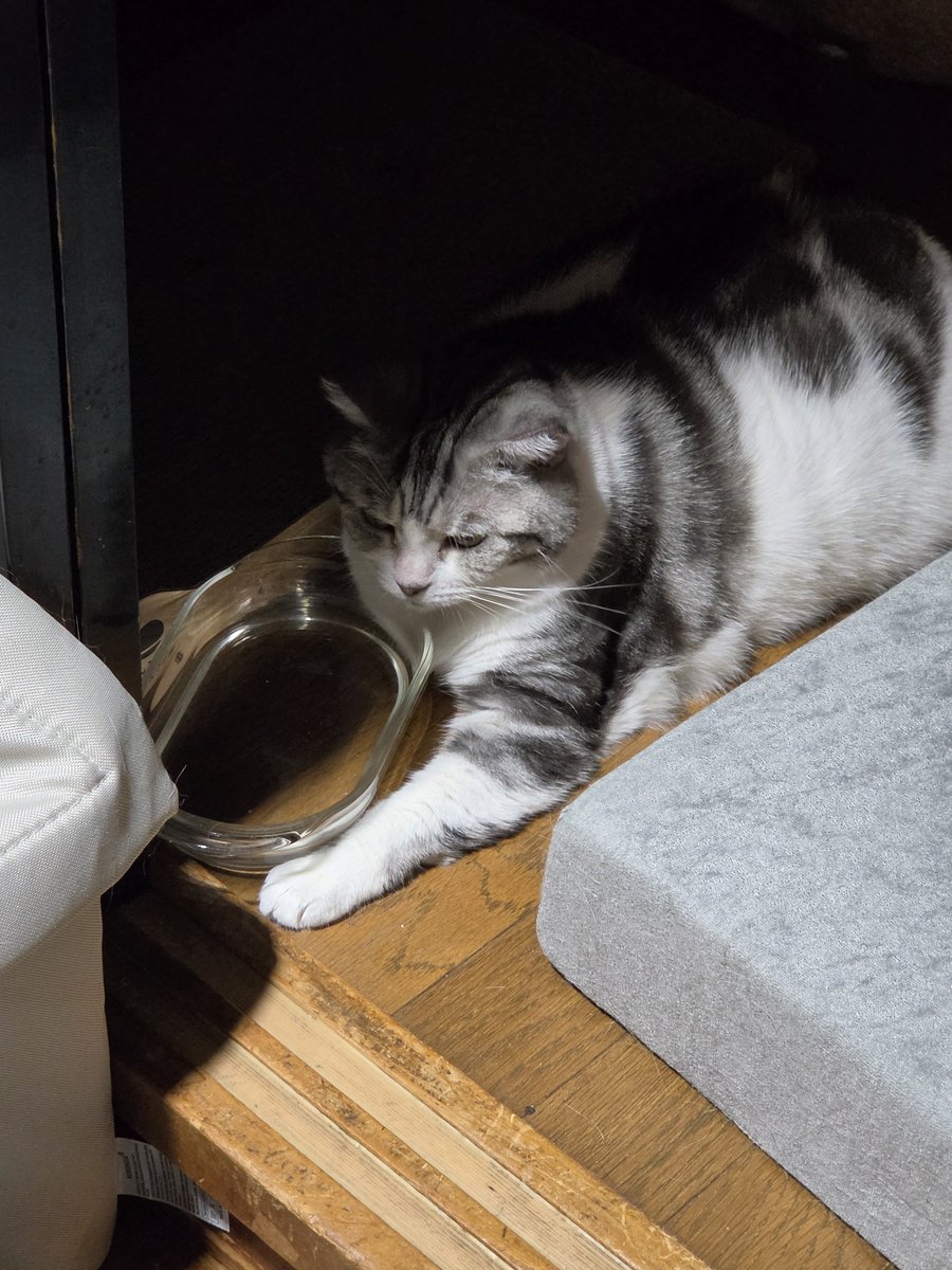 7atu222's tweet photo. 怠惰な水の飲み方はやめなさい https://t.co/1xiVyYeqWt