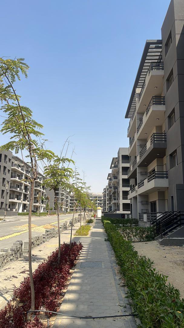 injazinvestment's tweet photo. Dreaming of owning a luxury home in Egypt? 🇪🇬

Premium gated estate with 5 en-suite bedrooms, 3 living rooms, gym, cinema, parking, and a penthouse floor.

Own internationally with INJAZ.

📞 +234 904 048 6169 | +234 903 970 9610

#EgyptRealEstate #PropertyForSale https://t.co/5Z1UwRu2pU