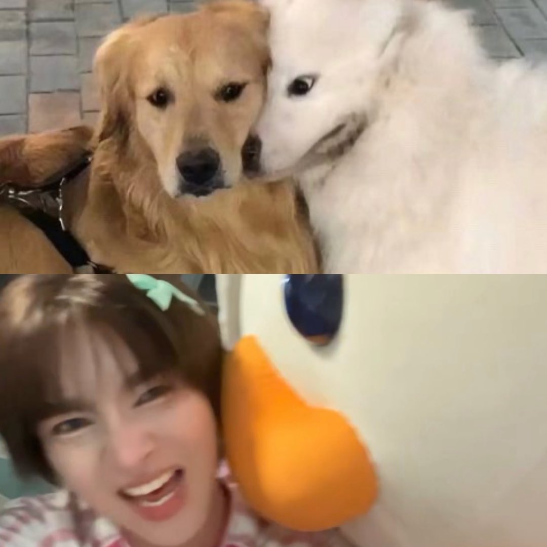 misosoup129's tweet photo. อ๊อตโต้ม่ายมีสิด !!!

#ottoottoo #OhAe https://t.co/tK1nbnx9NQ