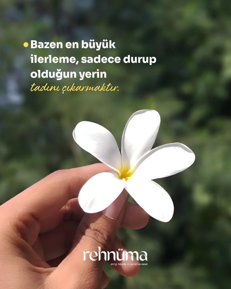 rehnumadergi's tweet photo. Bazen en büyük ilerleme,
sadece durup olduğun yerin
tadınI çıkarmaktır.

🌐 https://t.co/L8j3bvqBqN

#Tadınıçıkarmak
#bilgelikvezarafet
#rehnümadergi
#zarifyasam https://t.co/8mDS2WvsMs