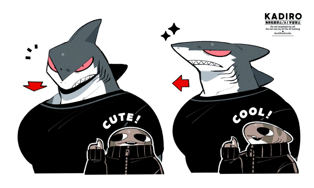 kadikadisake's tweet photo. 鮫達の横顔と正面顔🦈 https://t.co/FyKsVuD0Bu