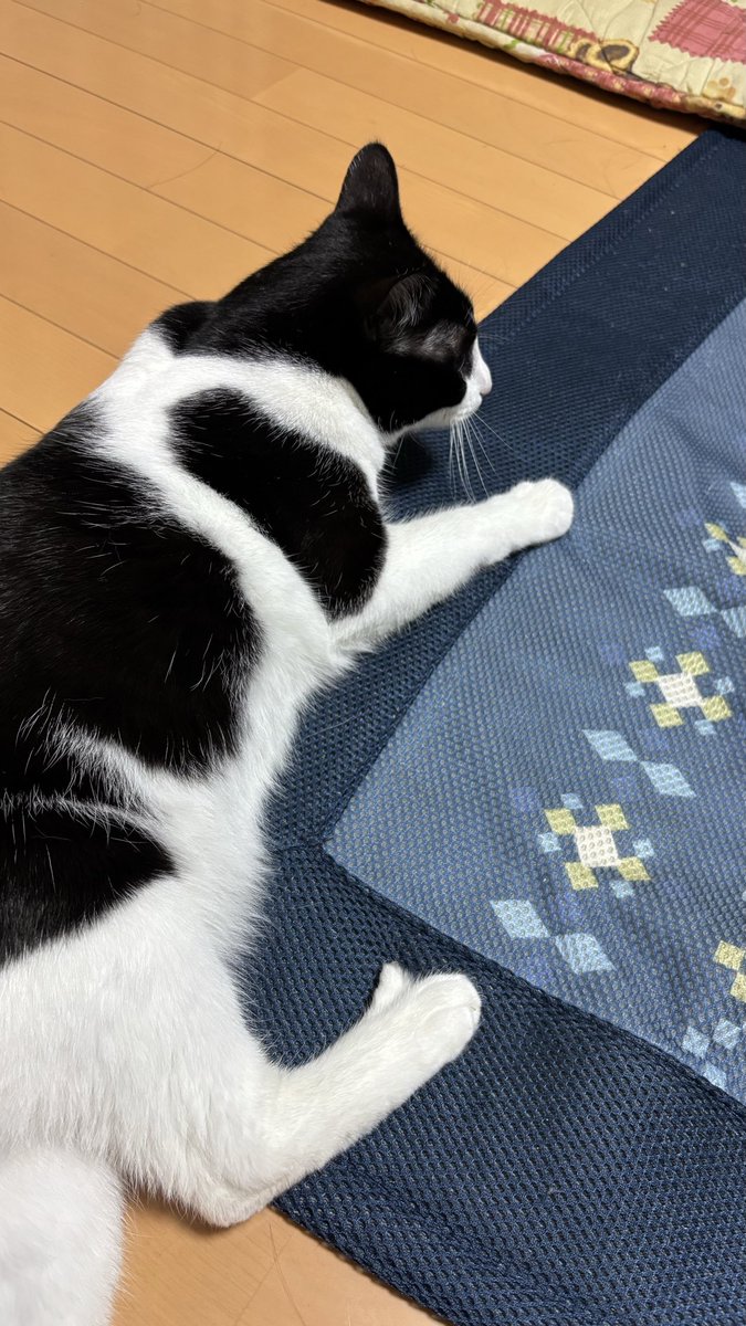 Post by おさかな on X: 👍