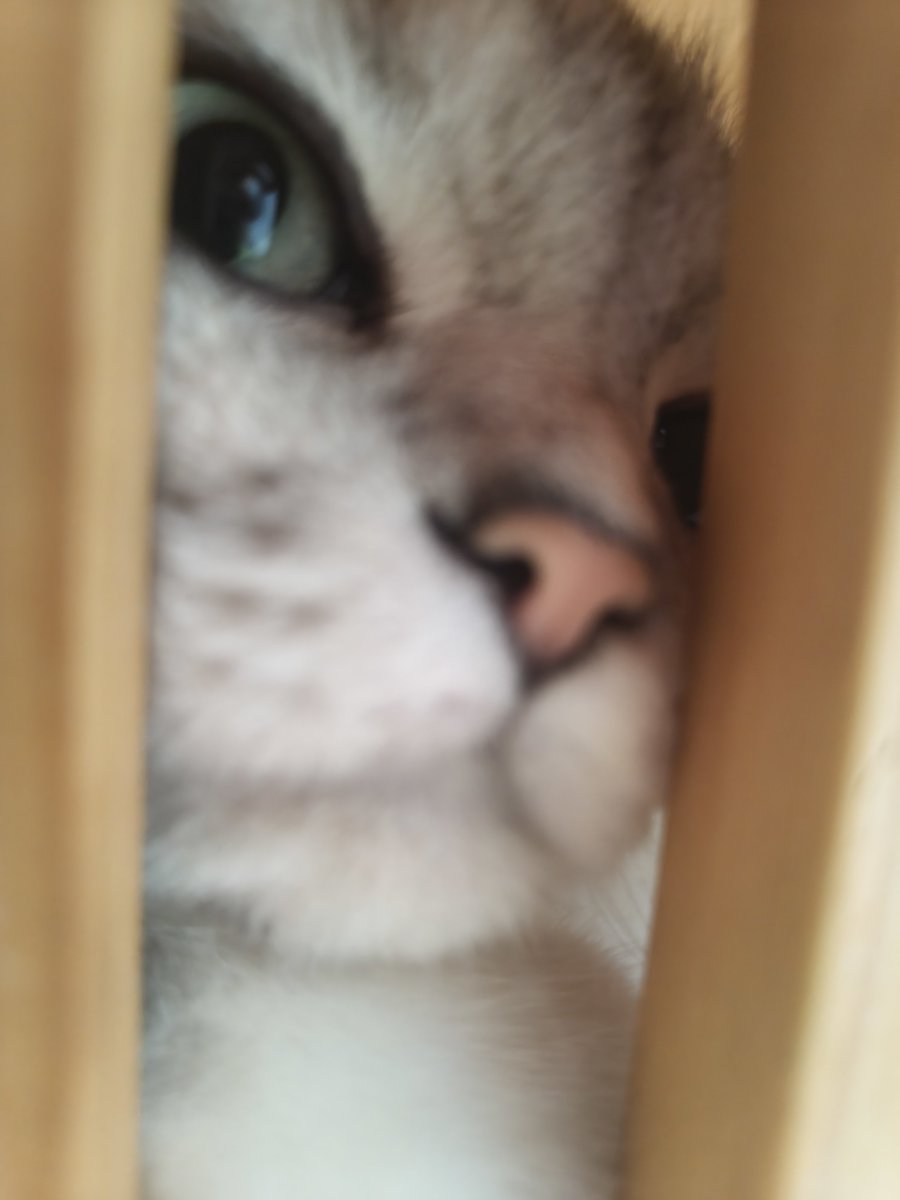 8sszh1's tweet photo. 臭臭的 https://t.co/p4nkfQHnhh