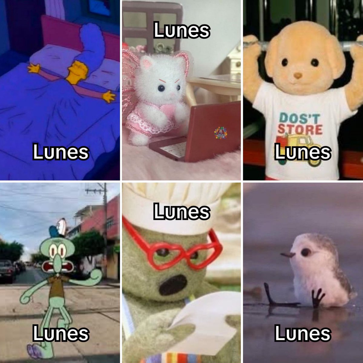 Guarromantico_'s tweet photo. Lunes. https://t.co/Ly7Y7zdLwq