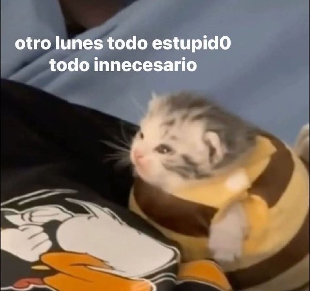 skereunpesado's tweet photo. https://t.co/KbwrD8oRVl