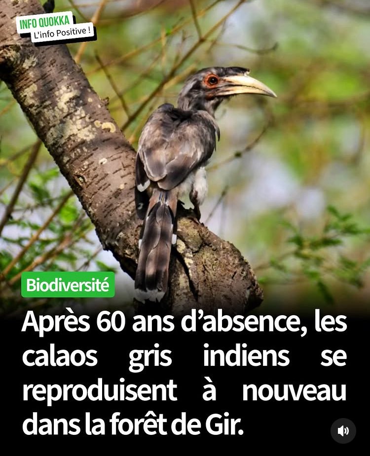 Jean Baudry tweet media