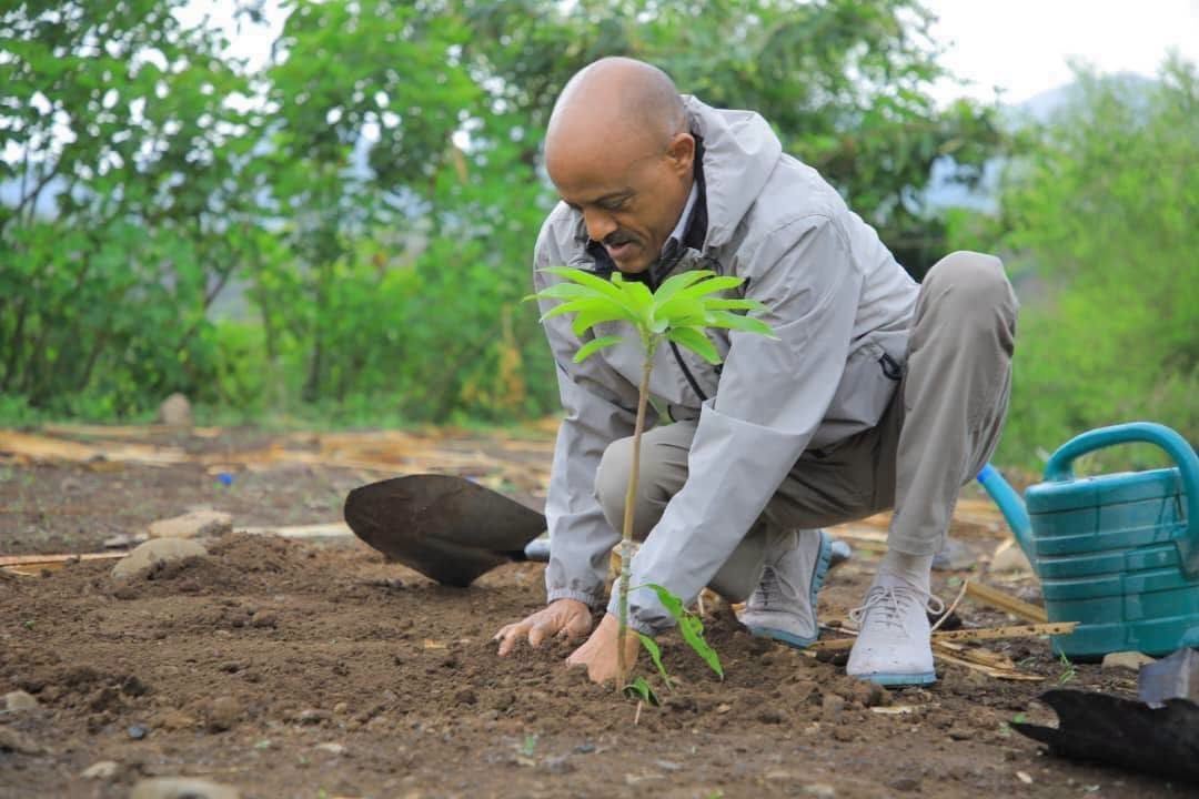 GazettePlusET's tweet photo. During a planting campaign in #SouthWollo, #Amhara Region Chief Admin Arega Kebede emphasized that the GLI represents a long-term national commitment. Over the past 7years, the initiative has increased forest coverage in the Amhara State from 3% to 18%. https://t.co/EmA7u4qa3V