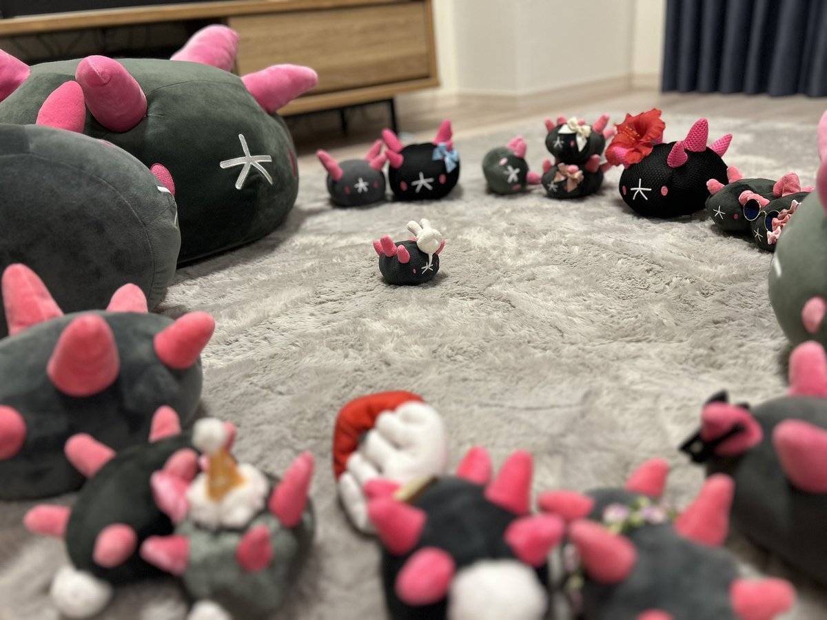 mayomofuuu's tweet photo. 定例なまこ会議（8月） https://t.co/OwKQAJPsoh