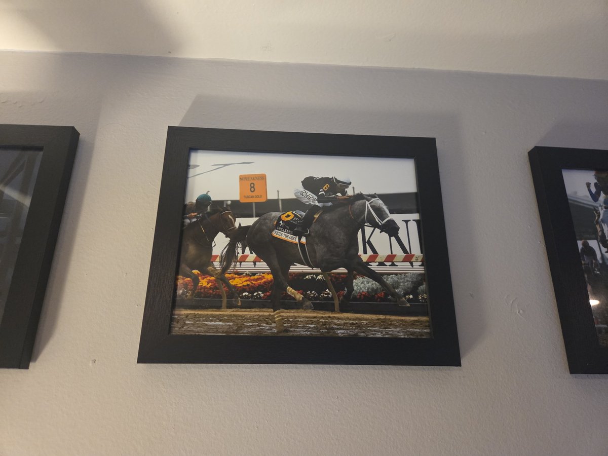 TimShady79's tweet photo. @SaffieJosephJr I was wondering if I could ask you for a favor. I collect jockey autographed photos of races and horses that were memorable to me. The only 1 I couldn't find signed was Seize The Grey. Was hoping maybe you could at least lead me in the right direction... https://t.co/4dDN1XmqFt