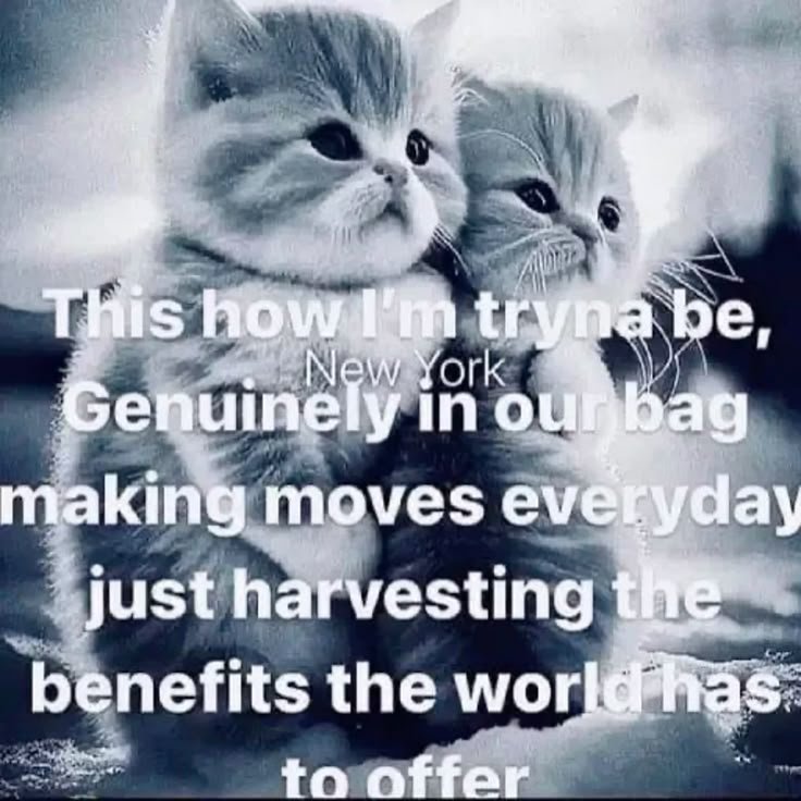 virgofags's tweet photo. @fujchifilm i love this positivity ❤️ https://t.co/hJ01Id0y4H