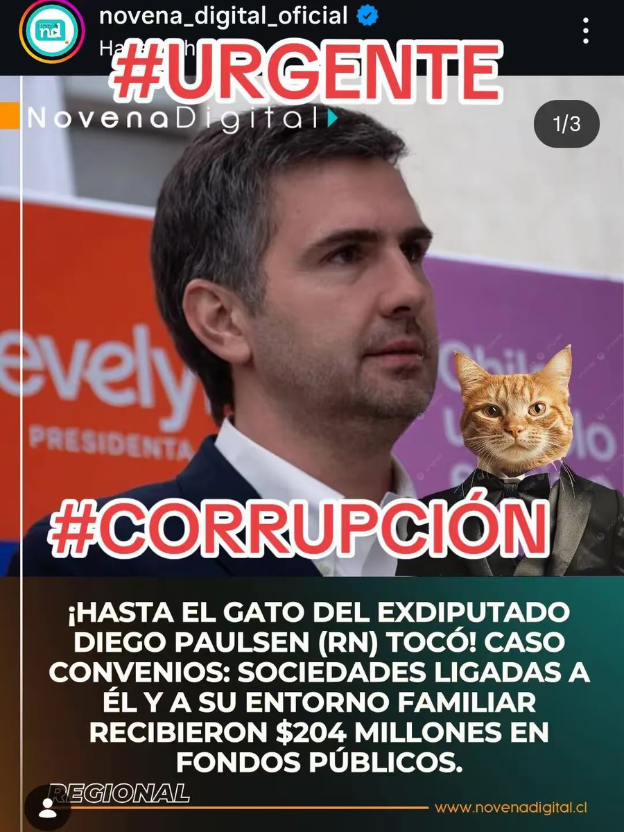 ShaunMu70151296's tweet photo. @erkogcea @elliberocl Toda La Razón !!! https://t.co/kfuEnF79n3