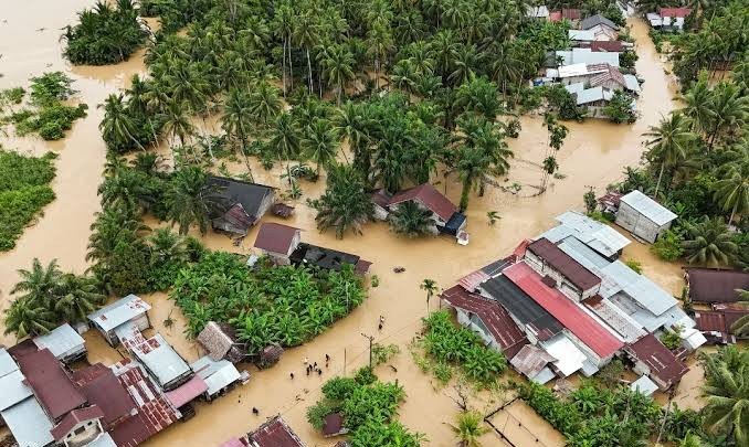 indepenSumatera's tweet photo. Kenapa Banjir di Indonesia Makin Sering dan Makin Parah?

Sebuah riset gabungan dari Univ. of Göttingen (Jerman), IPB, dan BMKG akhirnya mengungkap alasannya!

Penyebab Utama
Perkebunan monokultur skala besar (seperti kelapa sawit & karet) merusak siklus air alami.

Bagaimana Hal Itu Bisa Terjadi?
1. Tanah Makin Keras Pemadatan Tanah
Kebun 
monokultur bikin tanah makin padat. Akibatnya, air hujan susah meresap ke dalam tanah dan justru langsung mengalir deras di permukaan.

2. Lahan Basah Dibuka
Pembukaan area rawan banjir & lahan basah untuk kebun bikin kita kehilangan "wadah penampung air" alami.

3. Efek Bendungan & Drainase Lokal
Menurut warga lokal, pembangunan bendungan dan saluran air buatan sering kali cuma memindahkan air ke tempat lain. Hasilnya, pola banjir di sekitar desa malah berubah dan makin sulit ditebak.