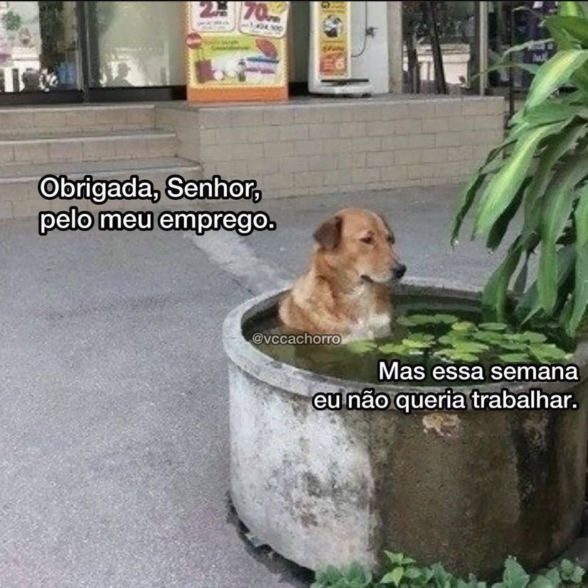 umANSIOS0's tweet photo. começando a semana assim: https://t.co/kmVwaD3pgd