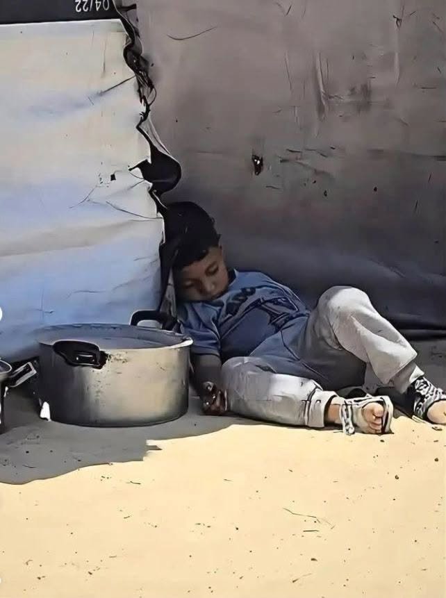 jwdy511323's tweet photo. في انتظار الطعام انهكة الحر والتعب ولم يحصل على الطعام💔 https://t.co/pPkWdBKvxF