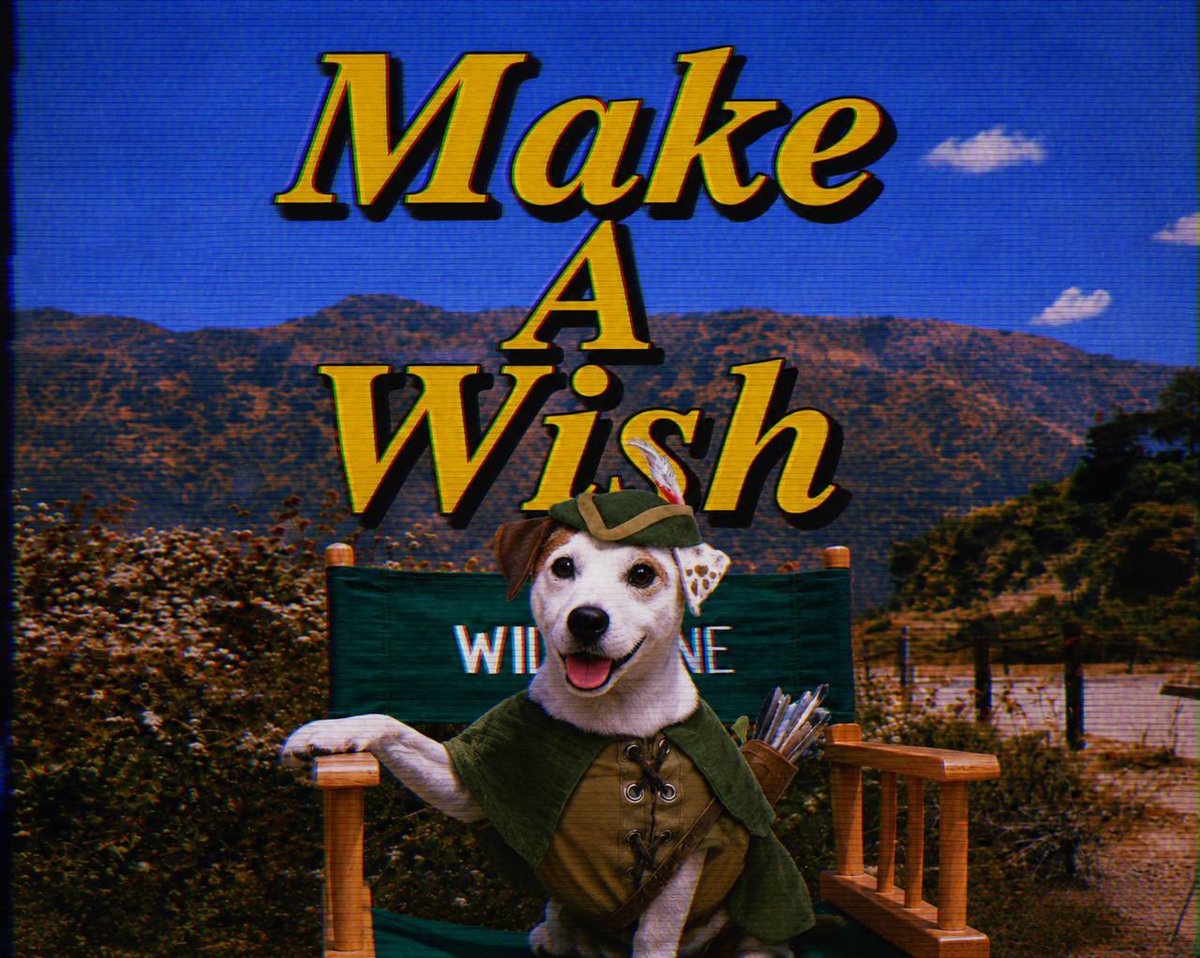 Wishbone tweet media