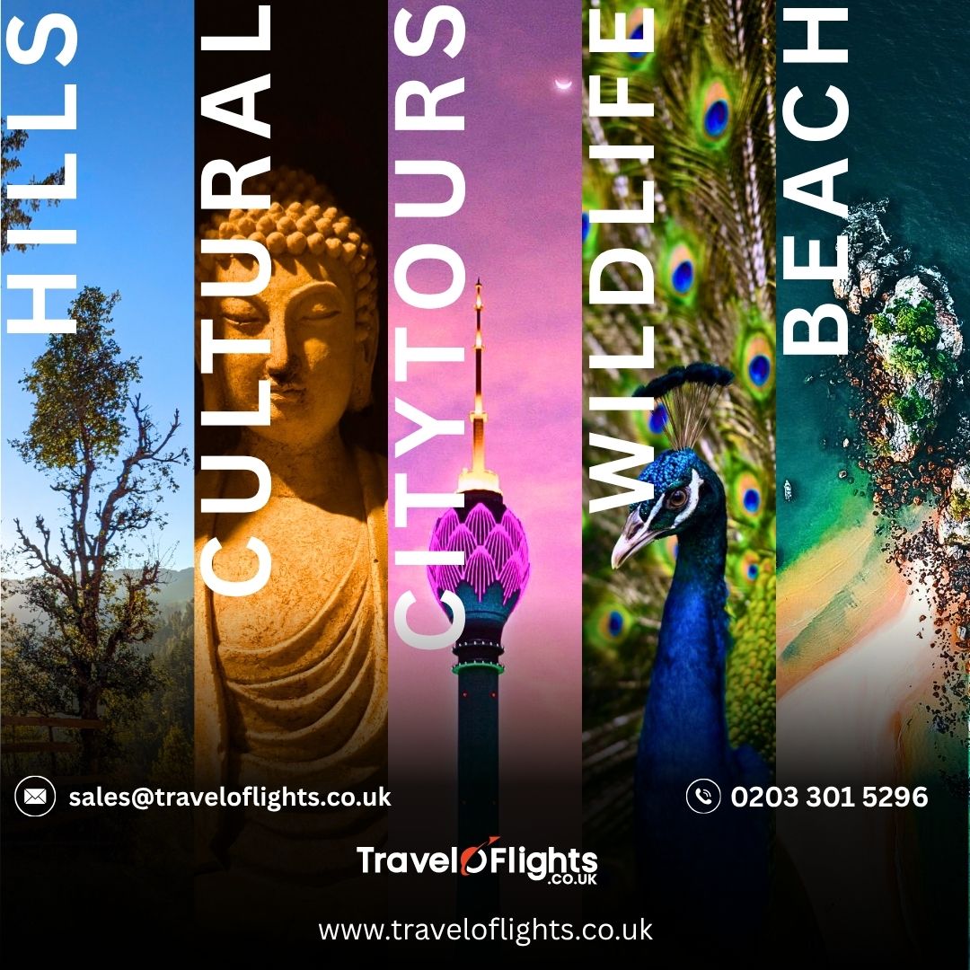 traveloflights's tweet photo. What's your travel vibe? 🌍✈️

🏔️ Hills
🏛️ Culture
🏖️ Beaches
🌆 Cities
🦁 Wildlife
You can only pick ONE for your next trip. 👀
👇 Tell us your choice!

https://t.co/jb4JkV0hlA

#Travel #Wanderlust #Traveloflights https://t.co/Ulslj7NVen