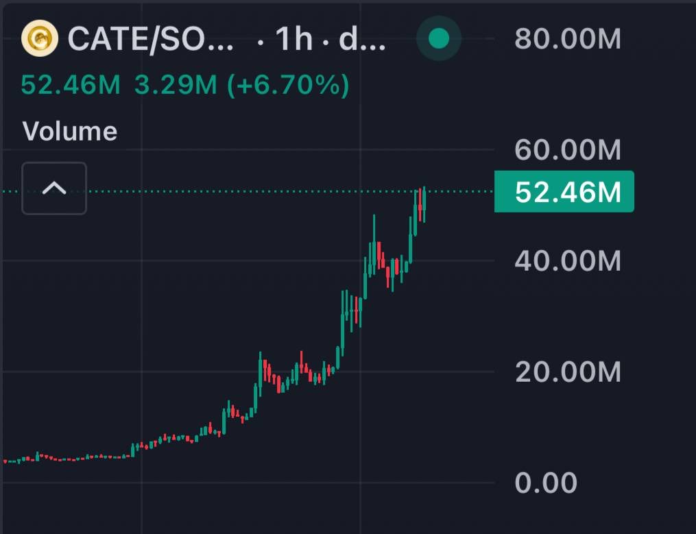 0xWIZ1's tweet photo. $Cate strong as bull.

Holding the 52m floor and curling back towards highs. one of the safest bet on SOL trenches during these last few days. https://t.co/URfQA1k1Yp