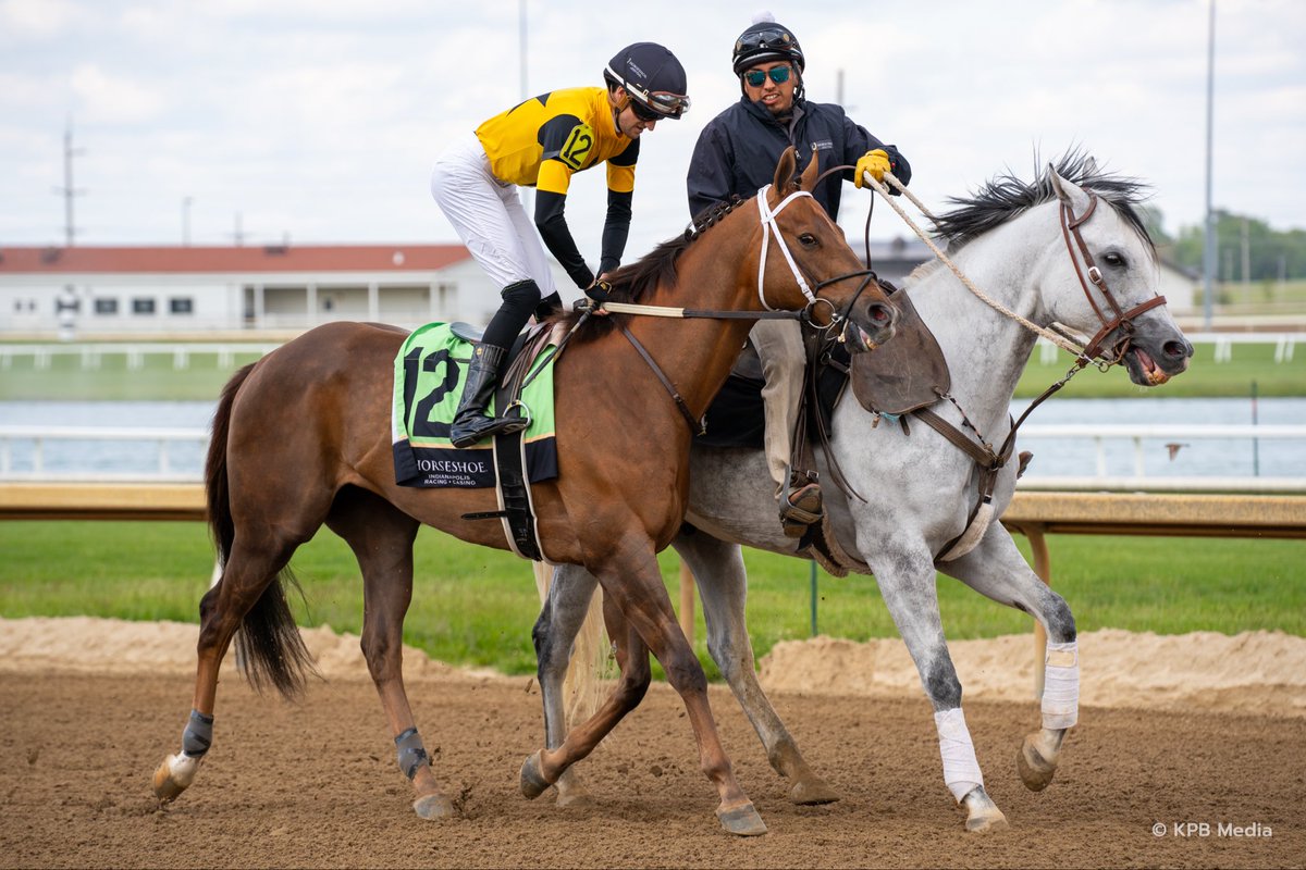 TOBAIndiana's tweet photo. ⭐️ Indiana-bred Spotlight: Run Away Rojo ⭐️

Read about this two-time stakes winner bred by Sharon Dodgen &amp; Barak Farm and owned by @westpointtbred and James Nichols. https://t.co/67SwXK22ML