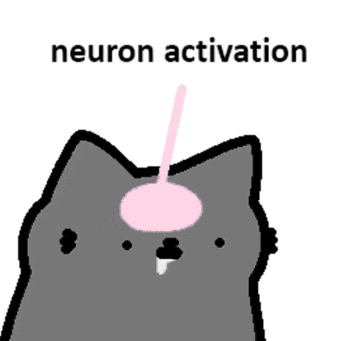 TheKuriosusCat's tweet photo. Muslos. https://t.co/Kfgcf4jGmX
