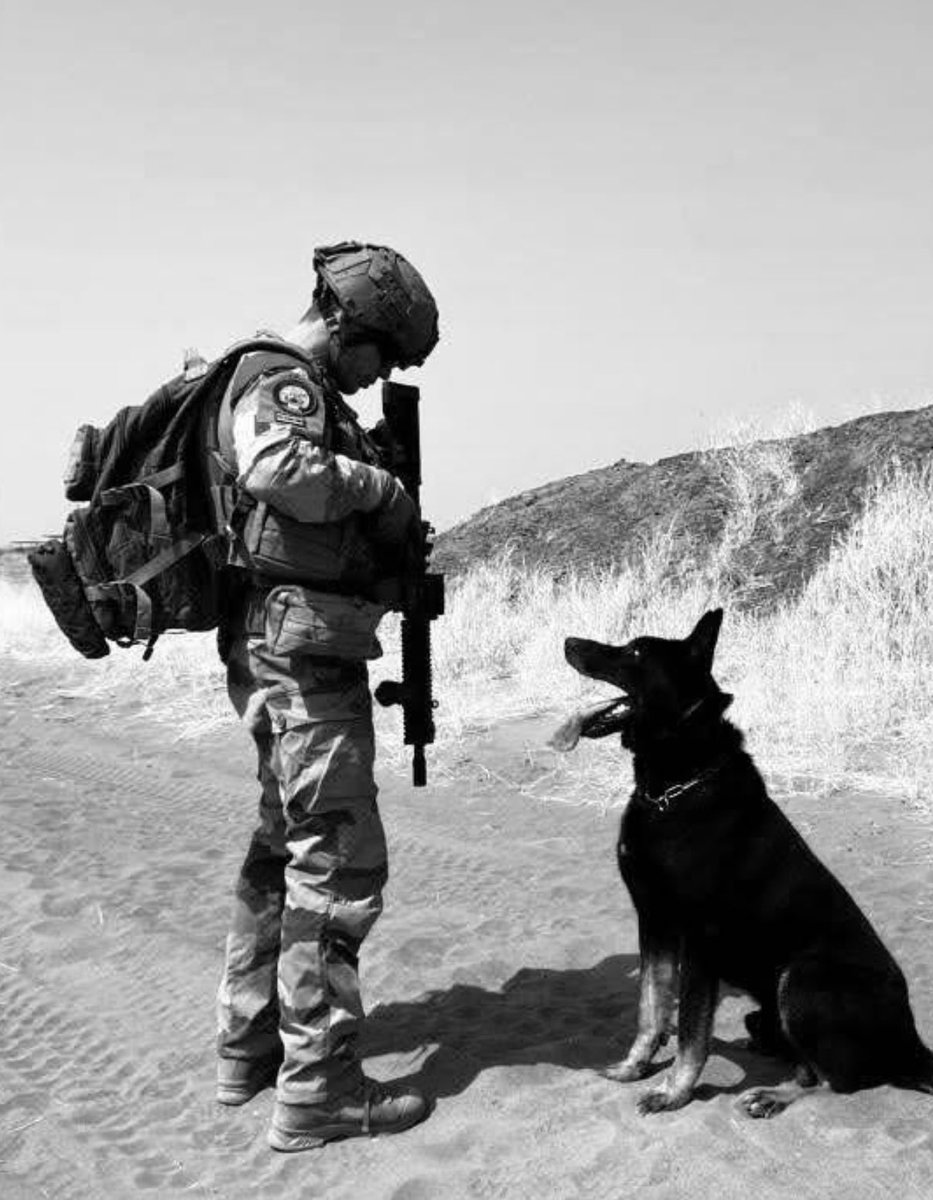 Fs_francaises_'s tweet photo. Il se spécialise dans l'aide à la recherche et à la détection d'explosifs, constituant un binôme particulièrement performant avec le chien Jokko.

Consciencieux, discret et d'une grande fiabilité, il fait preuve d'un savoir-faire remarquable et se distingue rapidement parmi ses pairs.