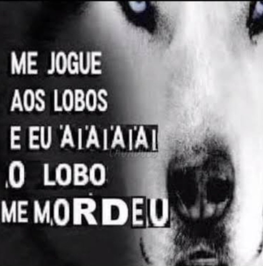 cosmodoluis's tweet photo. boa tarde https://t.co/JjMtppMVWs