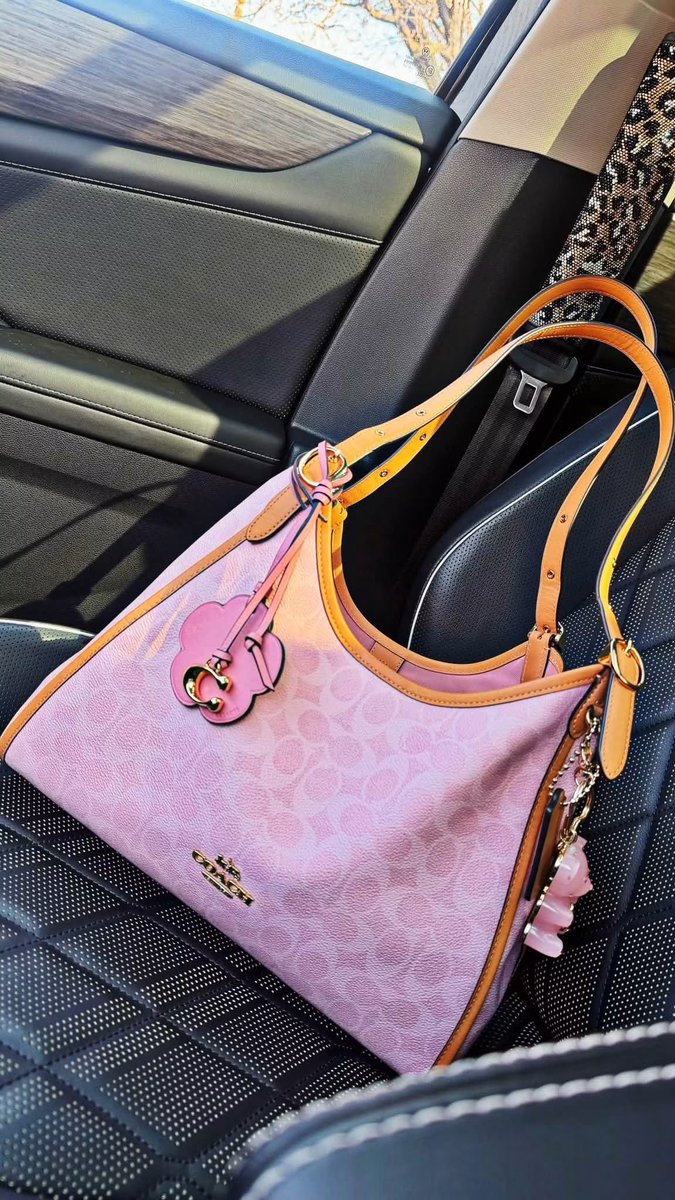 Jessylpdg's tweet photo. Coach powder pink was so beautiful I had to buy everything 🥵🩷✨ https://t.co/kcZiPZ0yeX