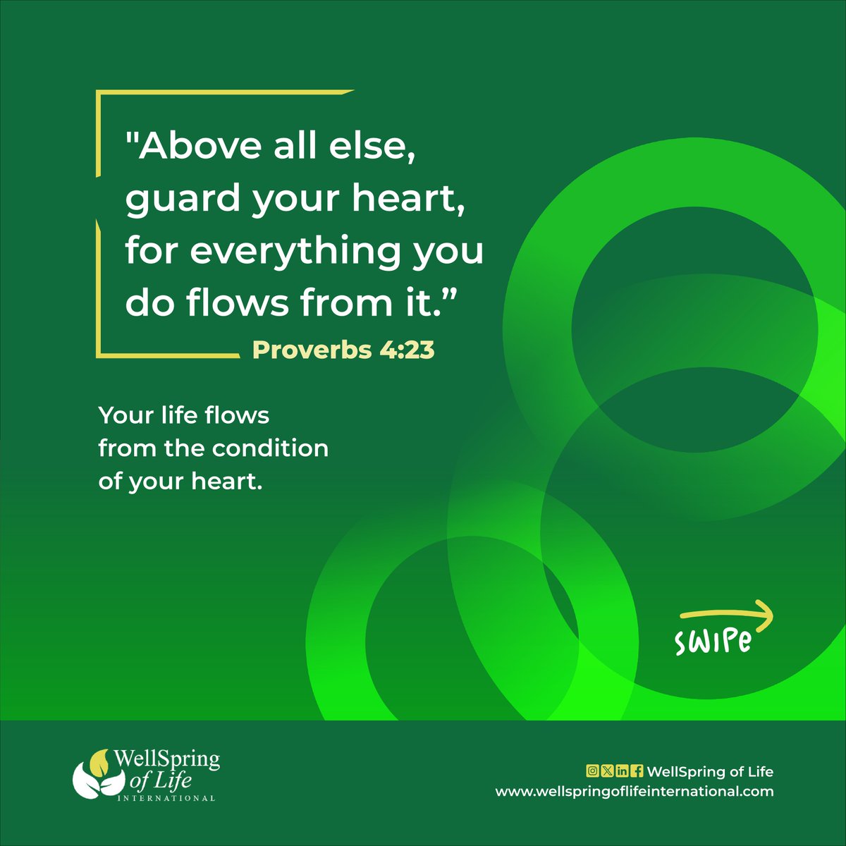WellSpring_Life's tweet photo. Real change doesn't begin with managing the symptoms. It begins by guarding the source.

"Above all else, guard your heart, for everything you do flows from it." — Proverbs 4:23

#WellspringOfLife #Proverbs423 #NewWeek #MondayMotivation https://t.co/oTes8qLQh4