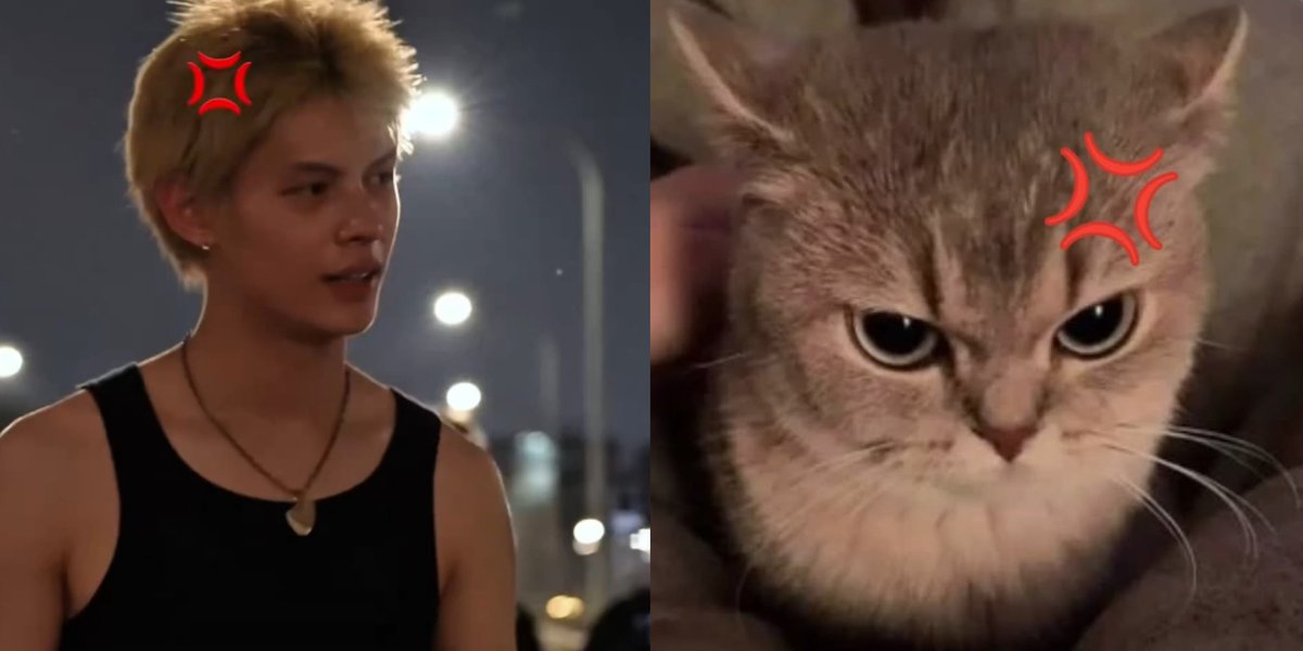 withcortis4life's tweet photo. what can i say except kitty 😭🤏🏻 #james https://t.co/kgPkz4Qyv1