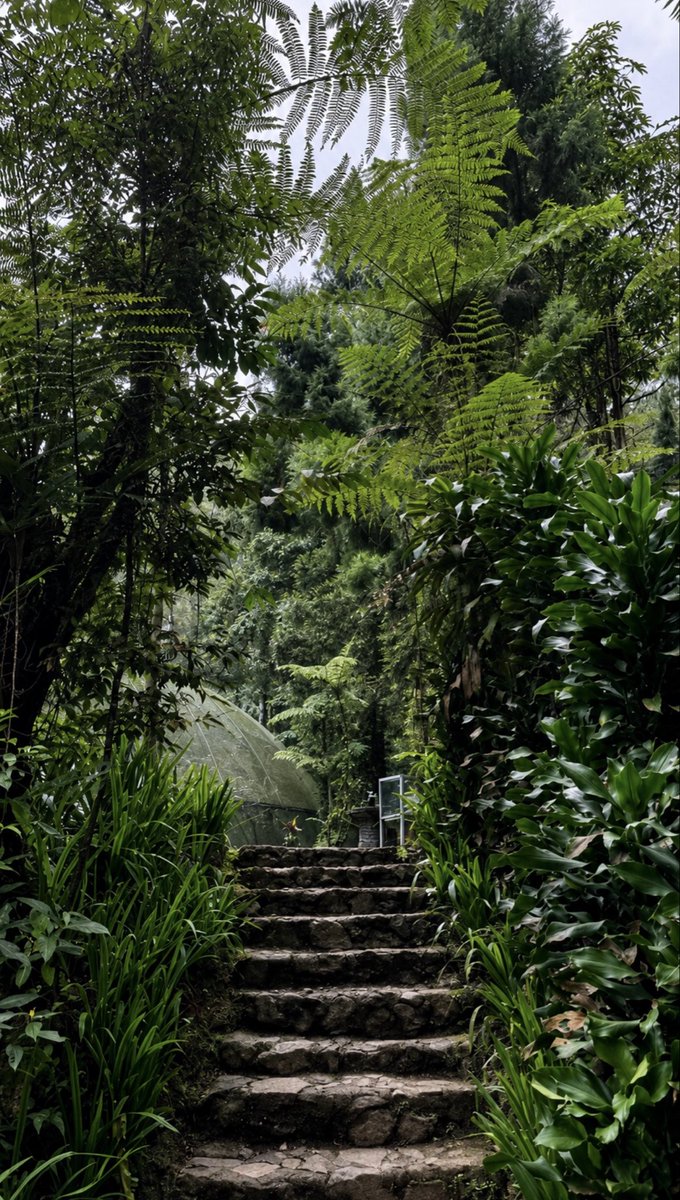i0rcr's tweet photo. ♥︎🌳🌿. https://t.co/ItYJETFVwU