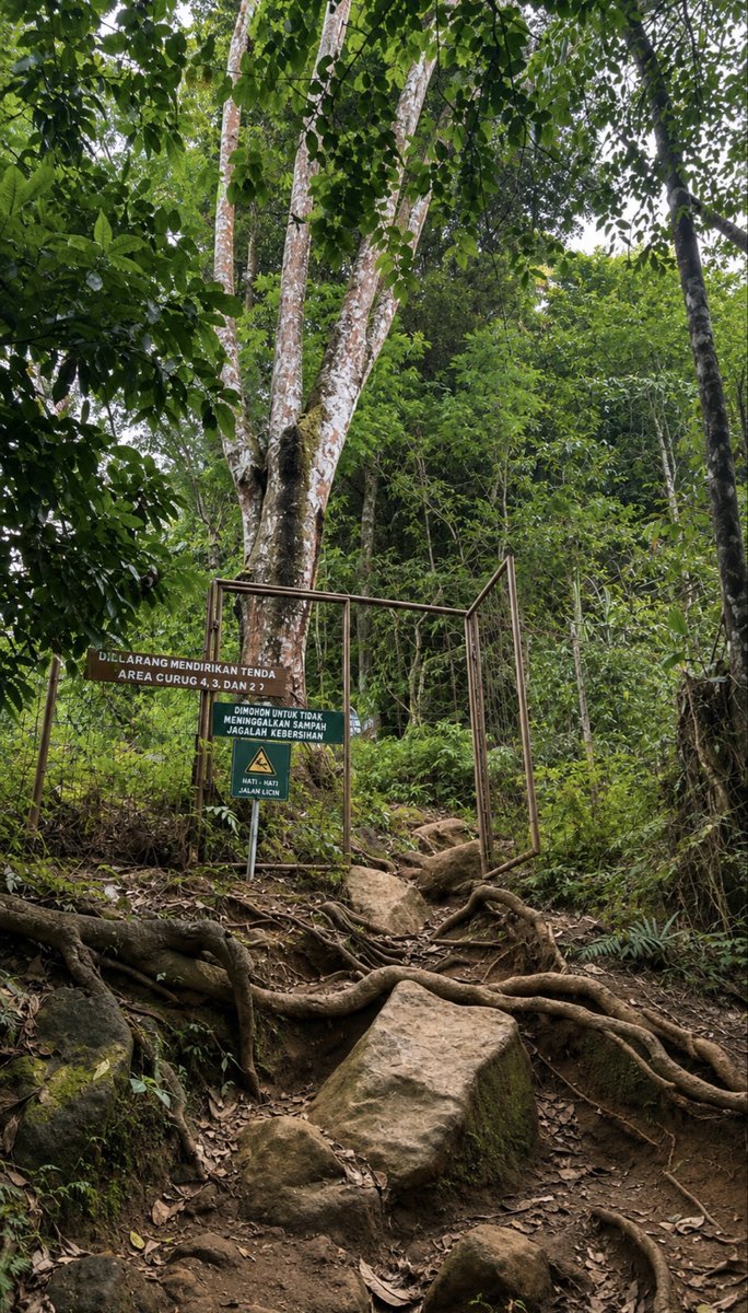 i0rcr's tweet photo. ♥︎🌳🌿. https://t.co/ItYJETFVwU