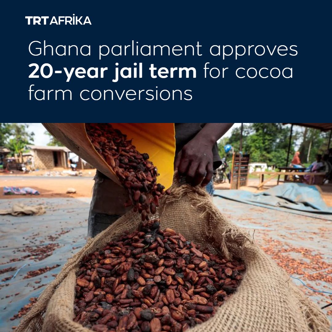 trtafrika's tweet photo. Ghana's parliament passed a bill that could send cocoa farmers to prison for up to 20 years if they convert their farms to other uses without government approval, according to a new bill

https://t.co/aG73uYFkLk https://t.co/LldkNsycCI