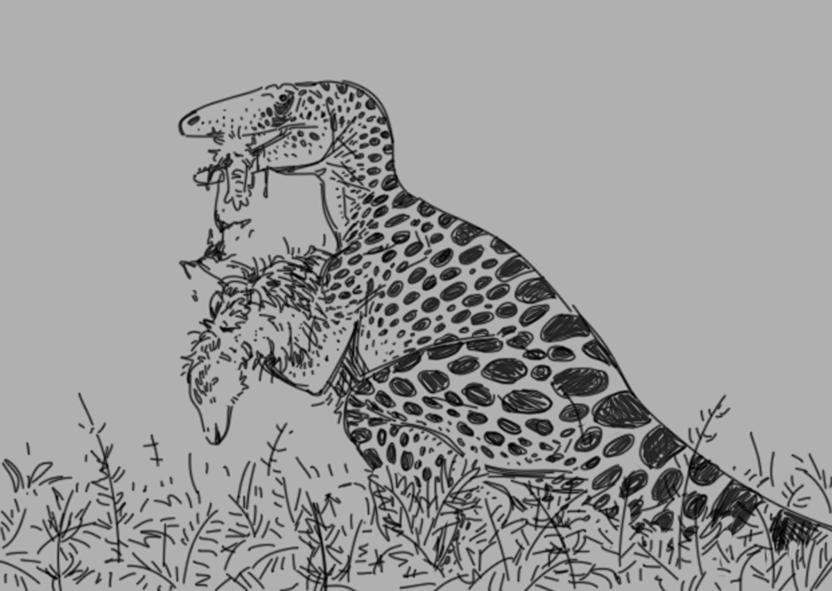 AshleyPalaeo's tweet photo. quick little unreferenced re-draw https://t.co/E4LI8CSskA
