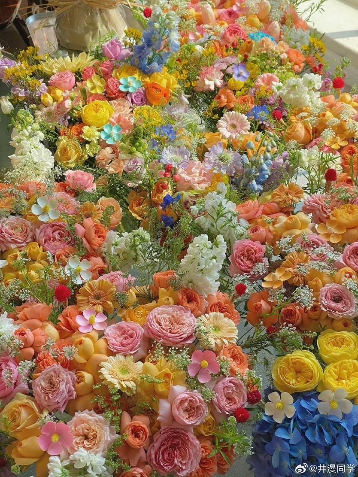 shimmerinpetals's tweet photo. colorful flowers <3 https://t.co/e1tyVvUnX8