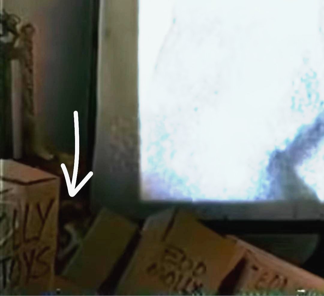 waltenews's tweet photo. You can actually see "Bon" hidden around the attic in TWF 5 https://t.co/exaUYKT00F