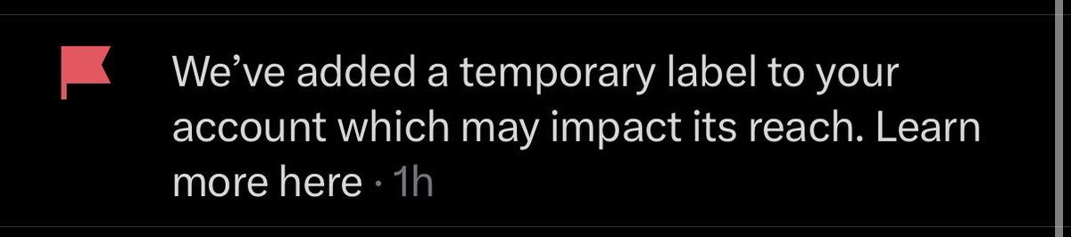 Tom tweet media