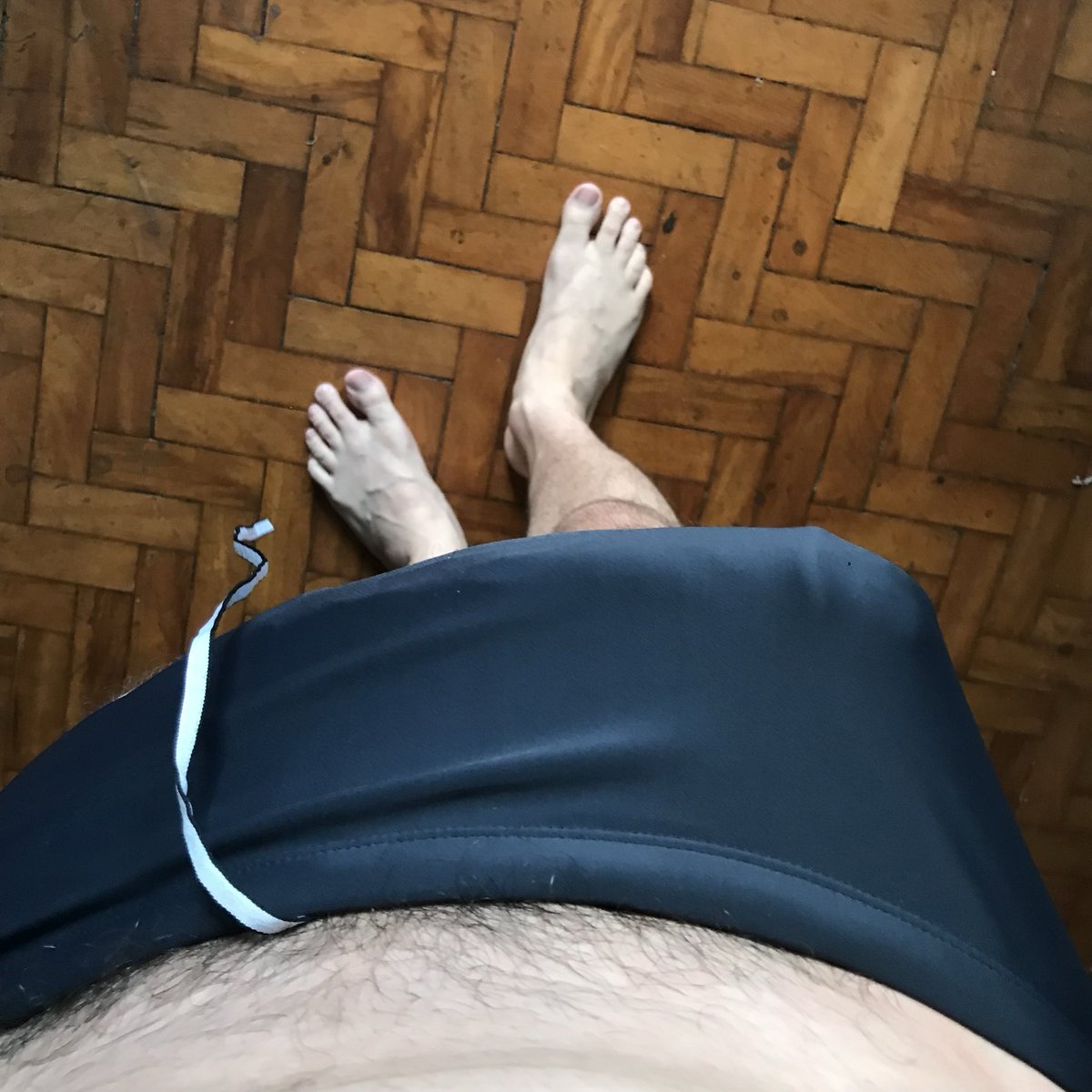 hh_schwimmer's tweet photo. a Large deep grey one is now free to go https://t.co/yEYwsK774w https://t.co/tZmveTbQym https://t.co/NGY0XXTBOW