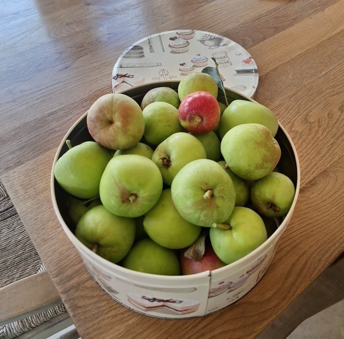 LouiseMPhillips's tweet photo. I've been off social media for a while, but now attempting to step back in slowly. First apples picked this year and pie done! And what an abundance of butterflies we've had with the warm weather. #applepie #harvest #apples #butterflies #irishgardens https://t.co/P8ncd2UnHM