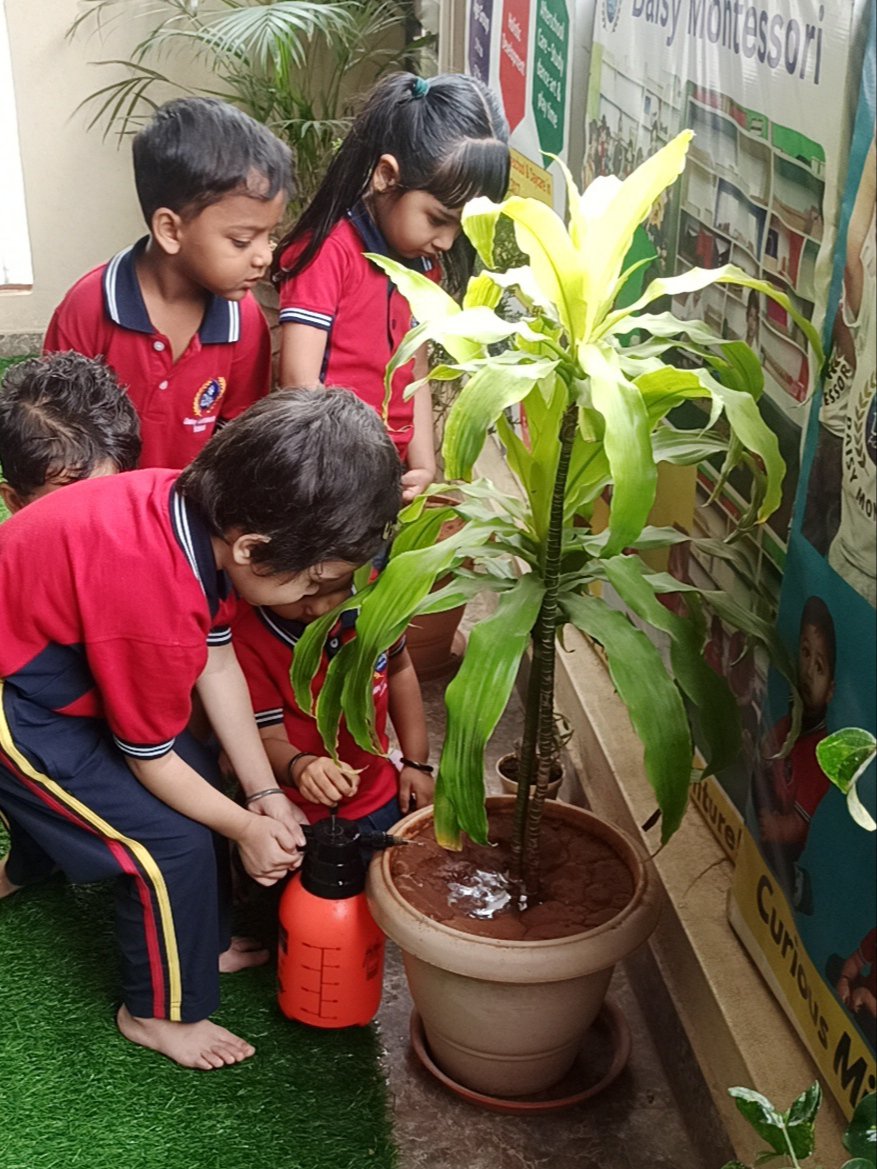 MontessoriDaisy's tweet photo. 🌱 Every small act of care shapes a child's character.
Today, our little learners watered plants—not just to help them grow, but to learn responsibility, patience &amp; respect for nature.
At Daisy Montessori, children learn through meaningful experiences.
#Montessori #EarlyChildhood https://t.co/4qAEGD5zRE
