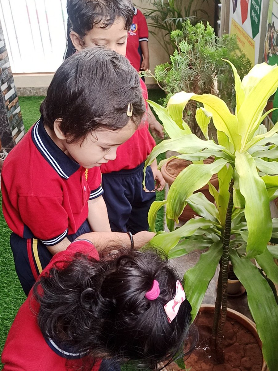 MontessoriDaisy's tweet photo. 🌱 Every small act of care shapes a child's character.
Today, our little learners watered plants—not just to help them grow, but to learn responsibility, patience &amp; respect for nature.
At Daisy Montessori, children learn through meaningful experiences.
#Montessori #EarlyChildhood https://t.co/4qAEGD5zRE